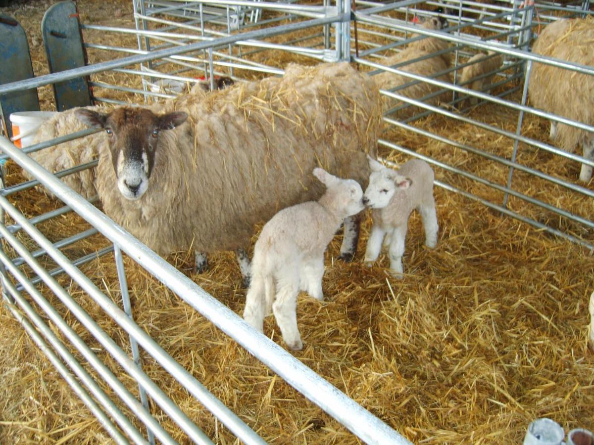 Church Farm Стратфорд на Ейвън Екстериор снимка