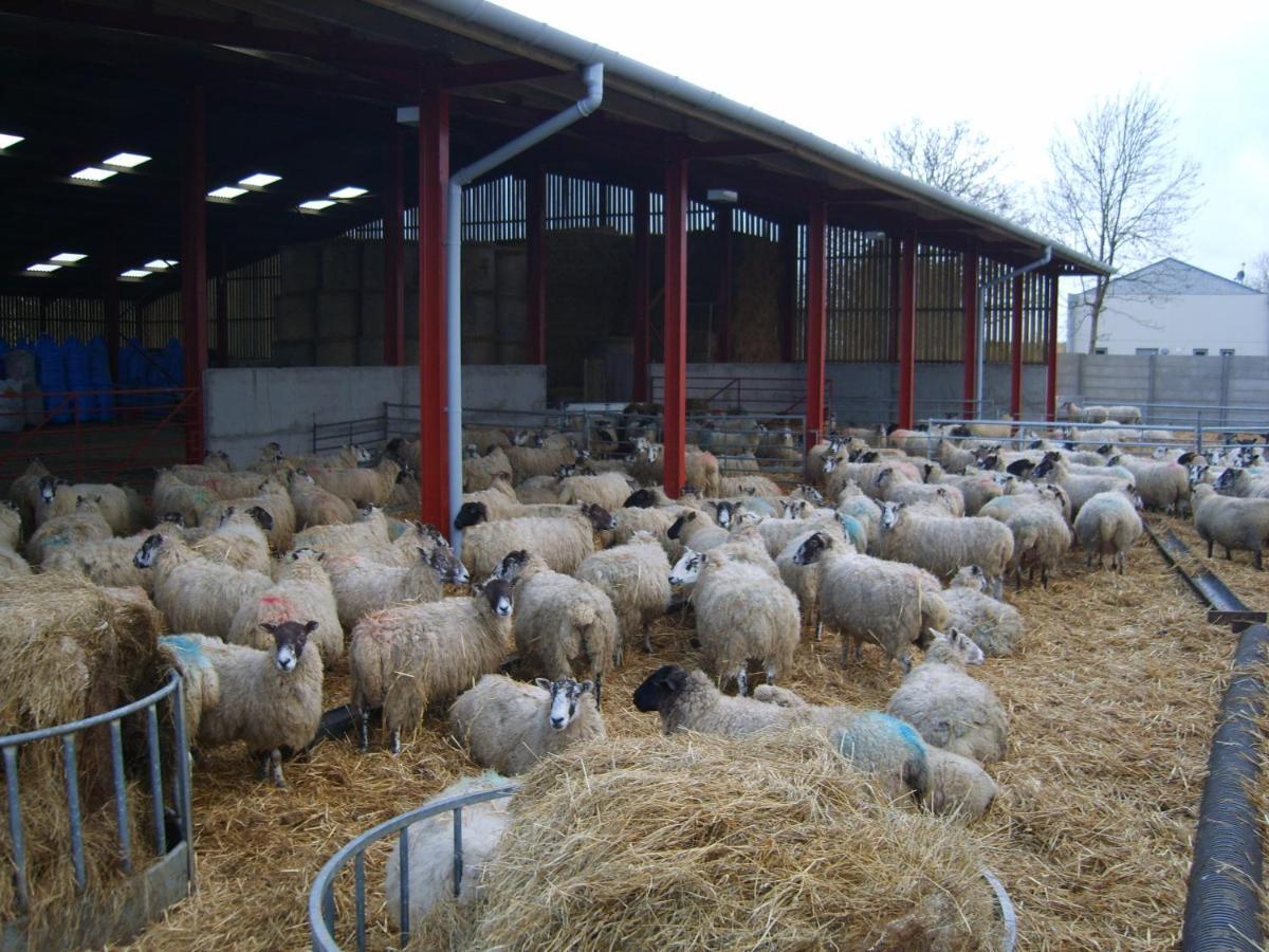 Church Farm Стратфорд на Ейвън Екстериор снимка